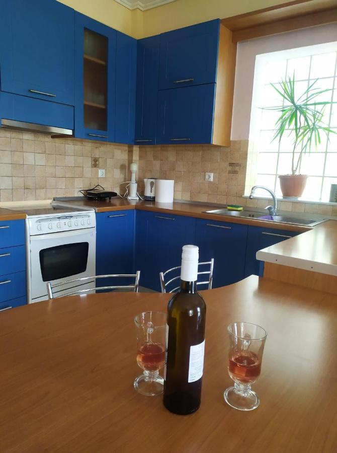 Evi'S Apartment Λευκάδα Εξωτερικό φωτογραφία
